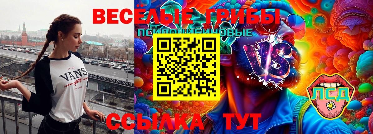 Галлюциногенные грибы мухоморы  Вход с VPN  Луга  Галлюциногенные грибы прущие грибы 