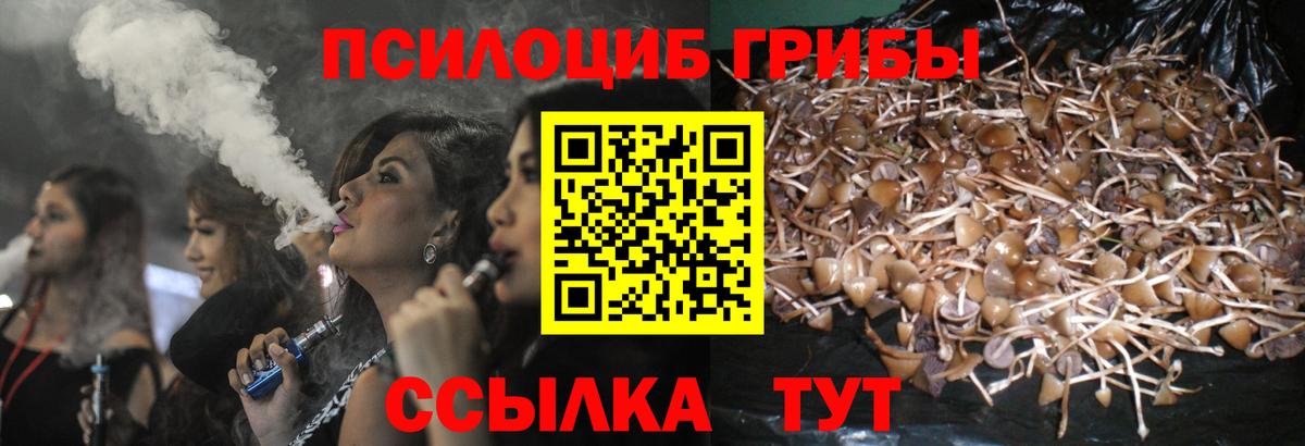 Галлюциногенные грибы Magic Shrooms Луга